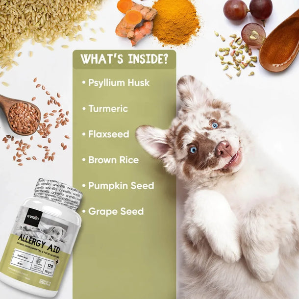 Ingredients of dog allergy tablets