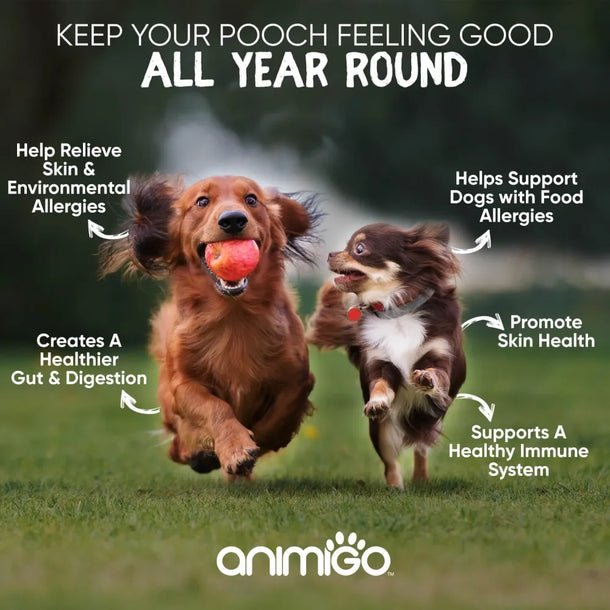 Benefits of using allergy ablets for dogs