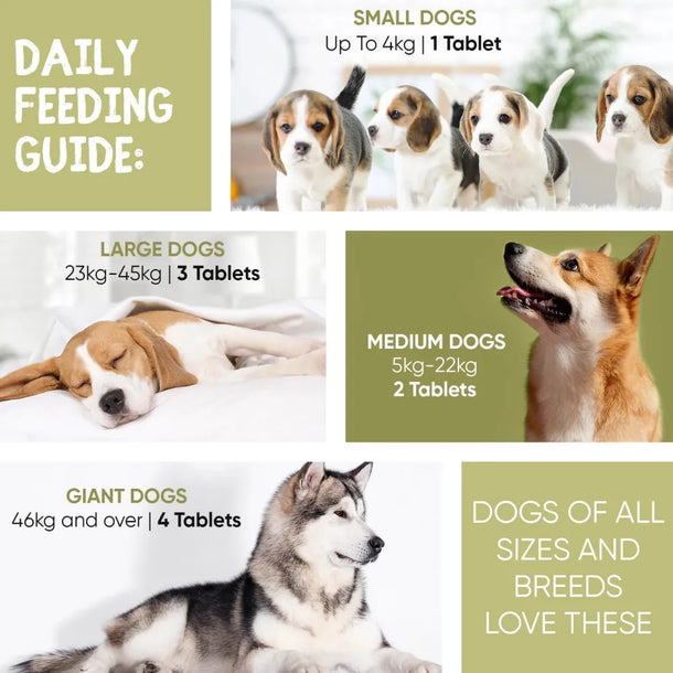 Daily feeding guide of Animigo’s dog allergy supplement
