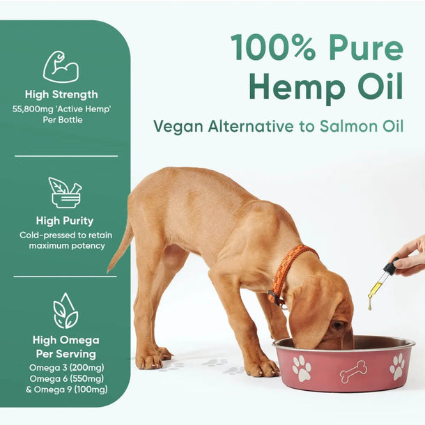 Daily feeding guide of Animigo’s hemp supplement for dogs and cats