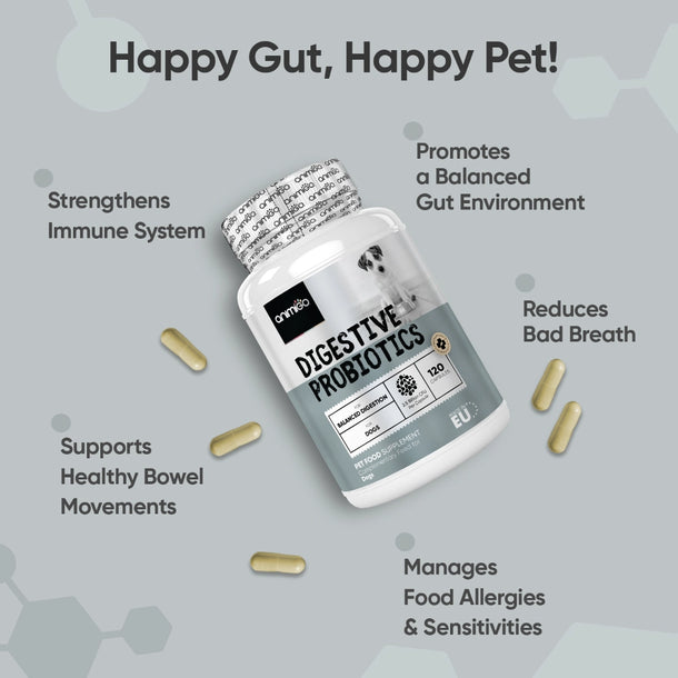 animigo-uk-digestive-probiotics-for-dogs-120capsules-03