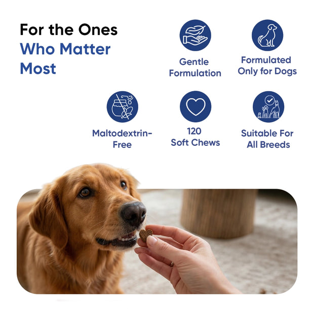 animigo-uk-multivitamin-with-minerals-for-dogs-caps-02