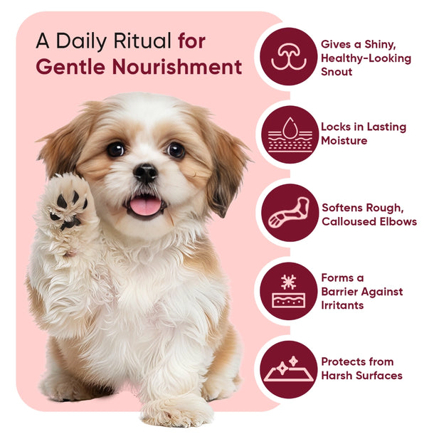 animigo-uk-pet-paw-and-nose-balm-03