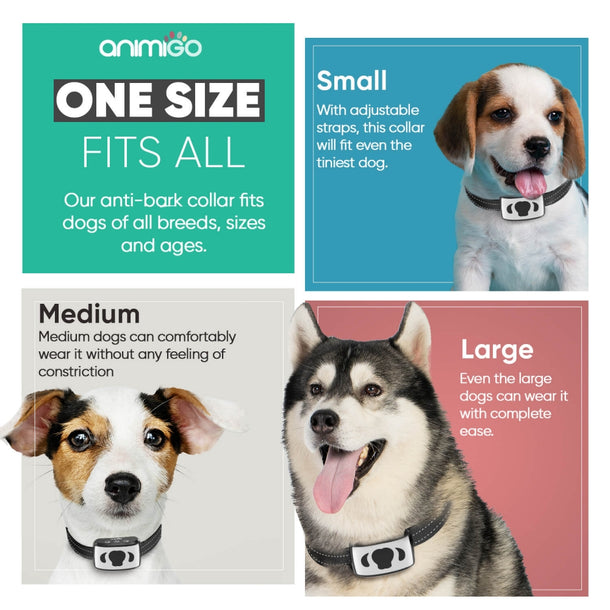 anti-bark-collar-uk-05