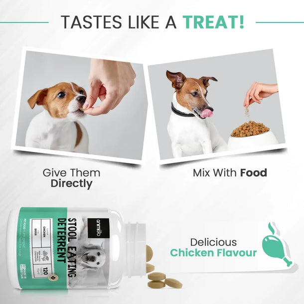 coprophagia-stool-eating-deterrent-uk--04