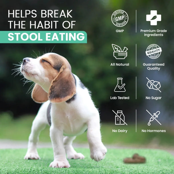 coprophagia-stool-eating-deterrent-uk--05