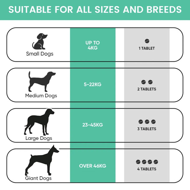 coprophagia-stool-eating-deterrent-uk--06