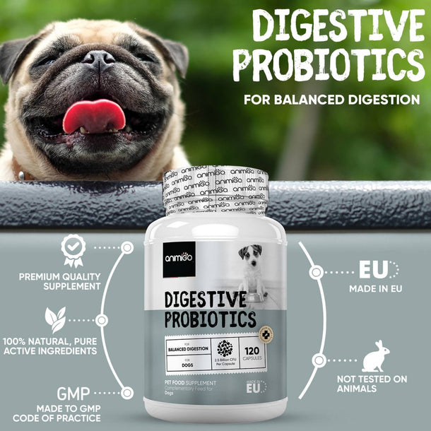 digestive-probiotic-uk-capsules-03