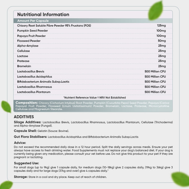 digestive-probiotic-uk-capsules-backlables