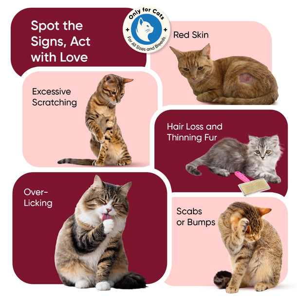 flea-and-tick-defence-powder-for-cats-100g-uk-04