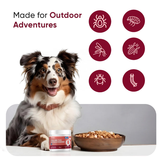 flea-and-tick-defence-powder-for-dogs-uk-02