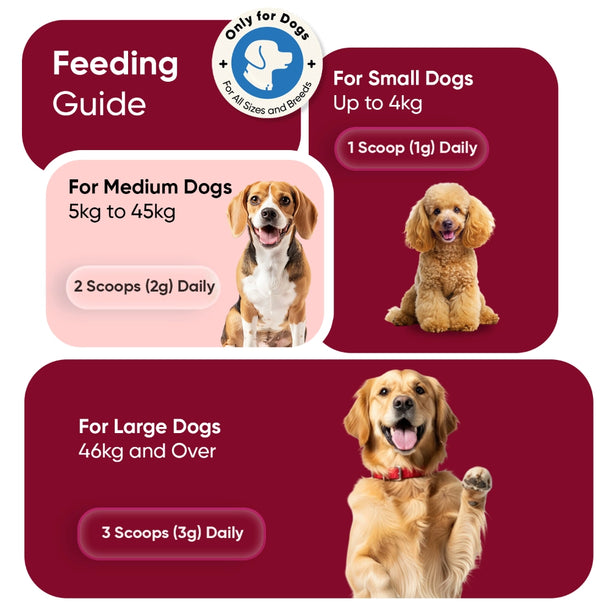 flea-and-tick-defence-powder-for-dogs-uk-05