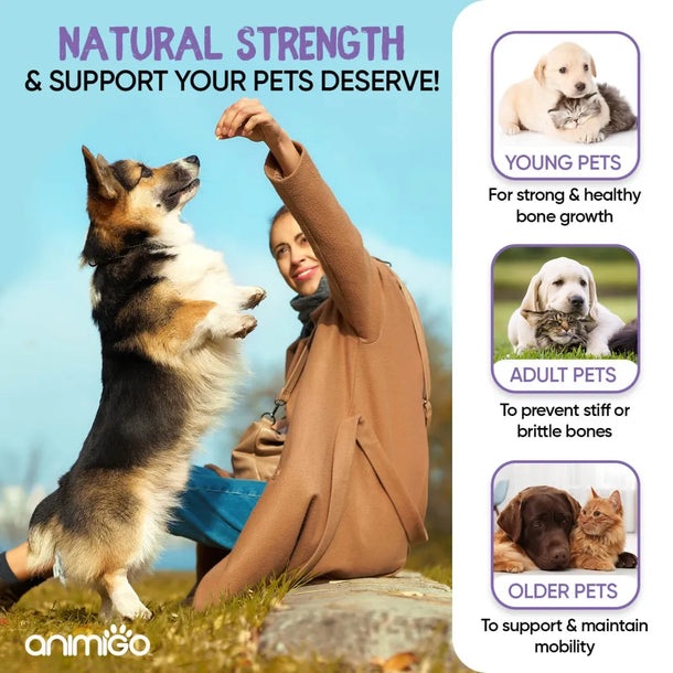Joint care supplement for dogs and cats of all ages