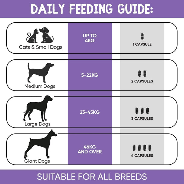 glucosamine-and-chondroitin-uk-06