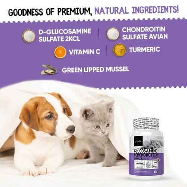 glucosamine-ani-uk-4