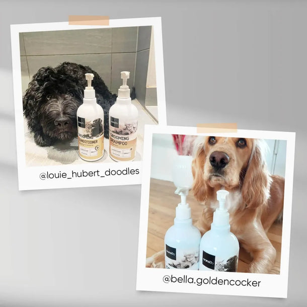 grooming-conditioner-ugc