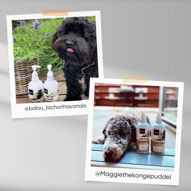 grooming-shampoo-ugc-2