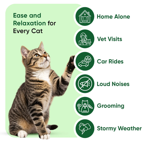 hemp-oil-60ml-for-cats-uk-03