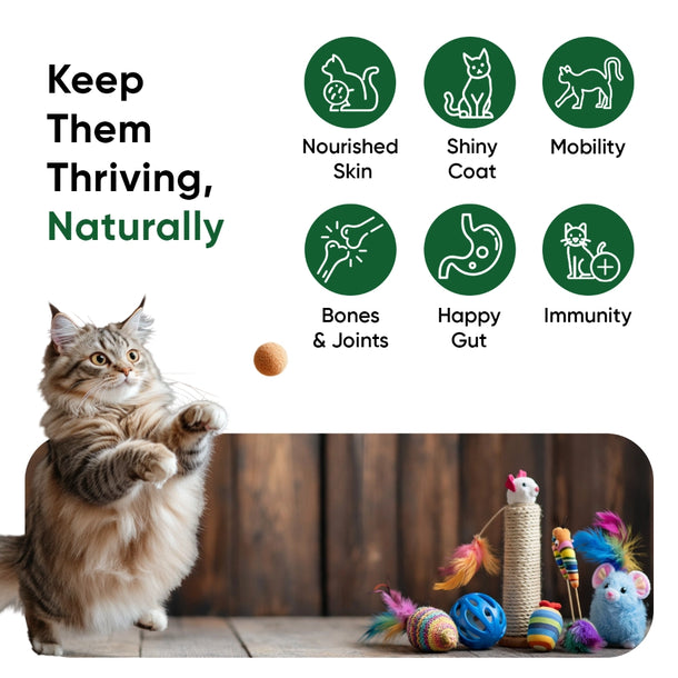 hemp-oil-60ml-for-cats-uk-04