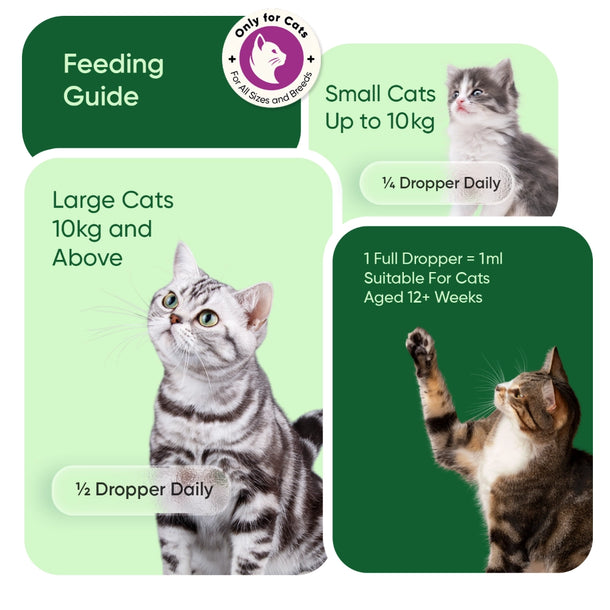 hemp-oil-60ml-for-cats-uk-05