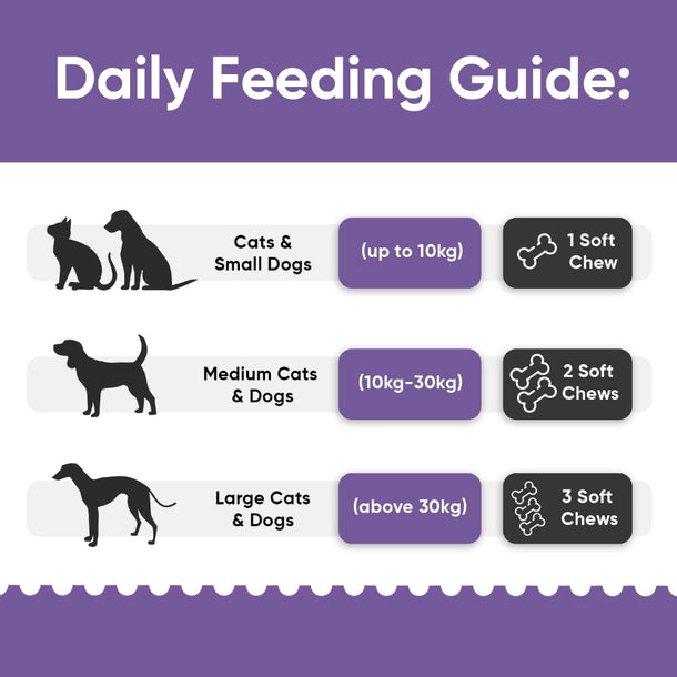 hip-and-joint-complex-animigo-uk-bottle-04