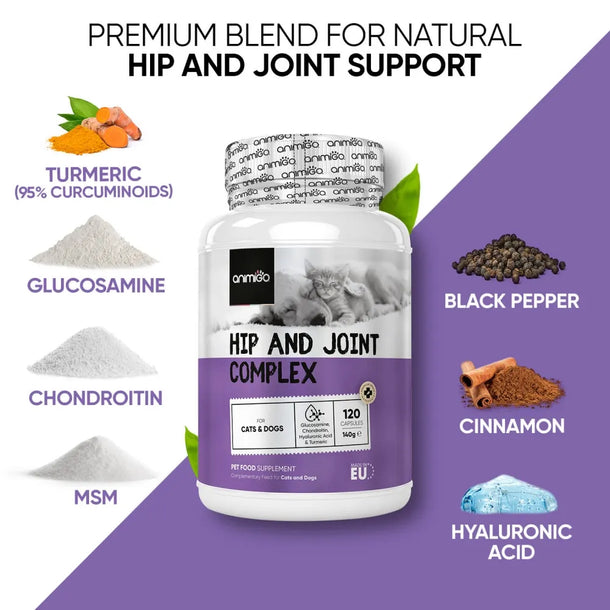 Key ingredients rich in joint vitamins for dogs and cats in our joint care supplement