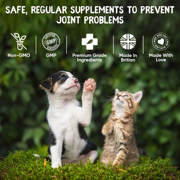 What makes our Hip & Joint Complex for joint relief for dogs and cats stand out from the rest?