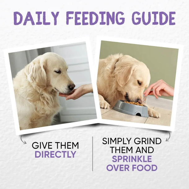 How to feed Animigo Hip & Joint Complex containing ingredients rich in vitamins for dogs joints