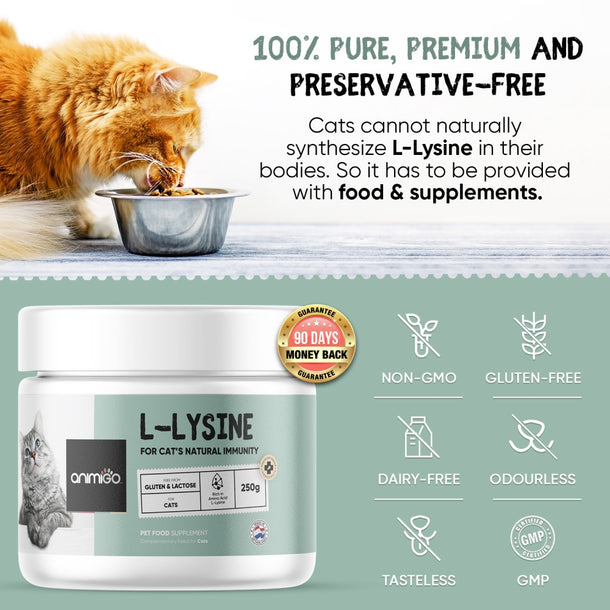 l-lysine-powder-ani-uk-03