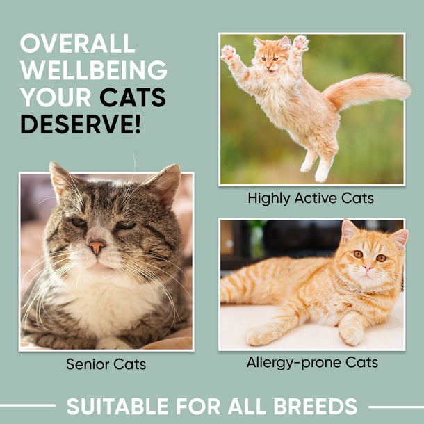 l-lysine-powder-ani-uk-04