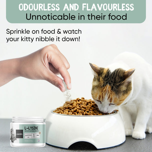 l-lysine-powder-ani-uk-05