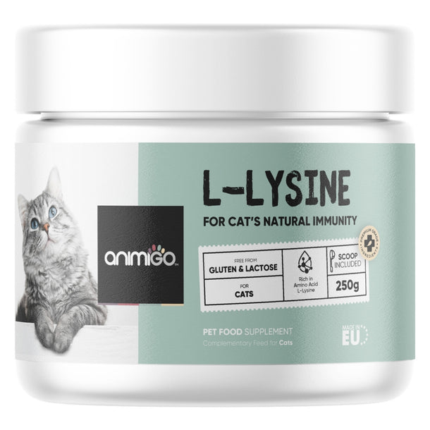 l-lysine-powder-uk-front