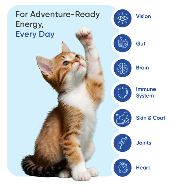 multivitamin-with-minerals-for-cats-uk-03