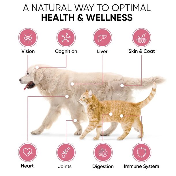 Animigo cat and dog vitamin supplements