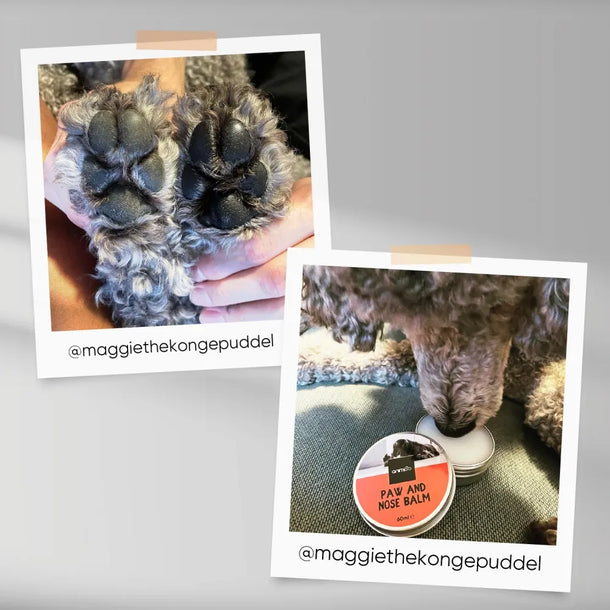 Animigo cat and dog moisturiser balm