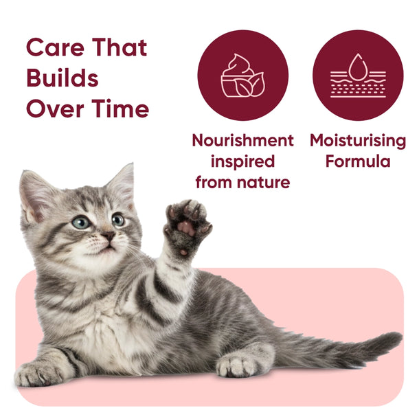 paw-and-nose-for-cats-uk-caps-06