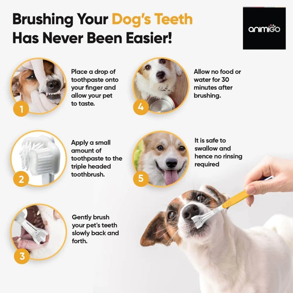 How to use Animigo’s doggy toothpaste and toothbrush