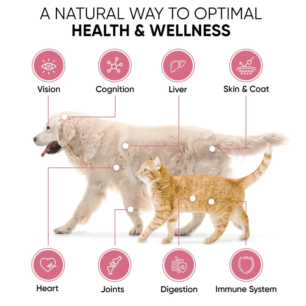 Animigo cat and dog vitamin supplements