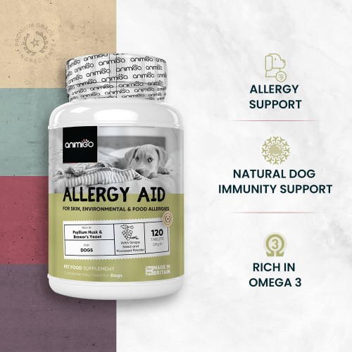 Allergy Relief for Dogs