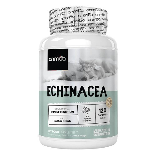 Echinacea - Natural Immunit...