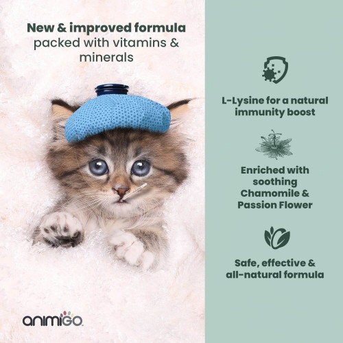 LLysine for Cats Normal Immunity Maintenance Tablets Animigo UK