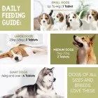 Daily feeding guide of Animigo’s dog allergy supplement