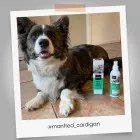Effective chew repellent for dogs and cats from Animigo