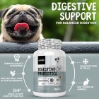Animigo dog digestive supplement features