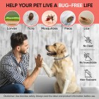 Types of pests from which the our flea and tick collar can protect your pets