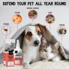 Pests that our Flea and Tick Control Spray can help manage