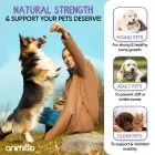 Joint care supplement for dogs and cats of all ages