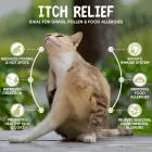 Animigo itch relief for dogs benefits