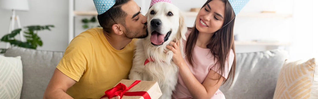7 Best Pet Gift Ideas This National Love Your Pet Day 2023