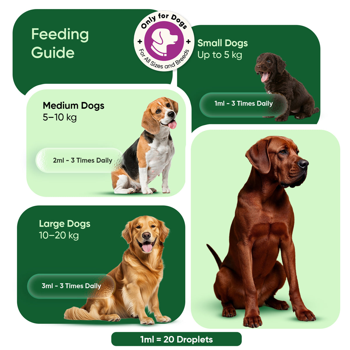 Calming drops for dogs